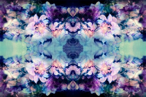 water flowers 2 kaleidoscope